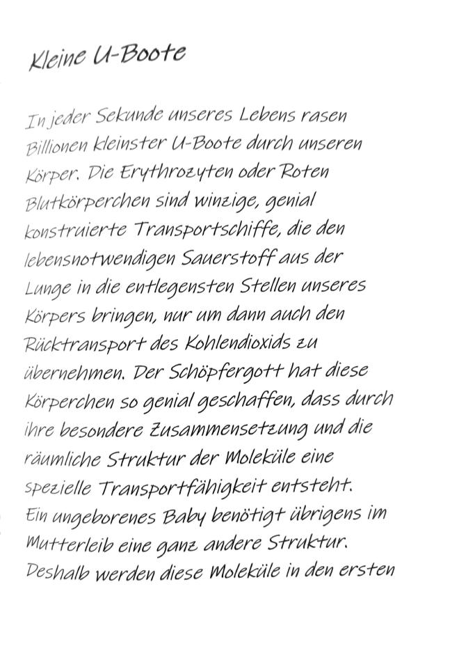 Kleine U-Boote S 1